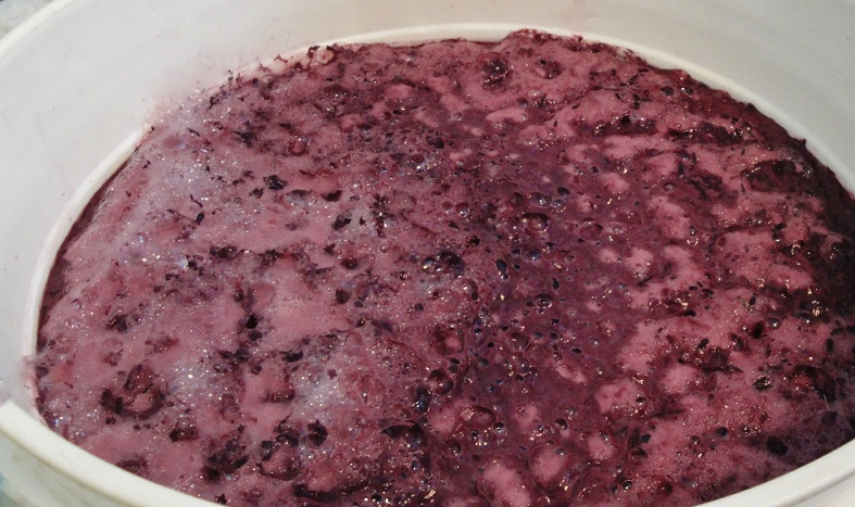 Red Wine Fermenting resize